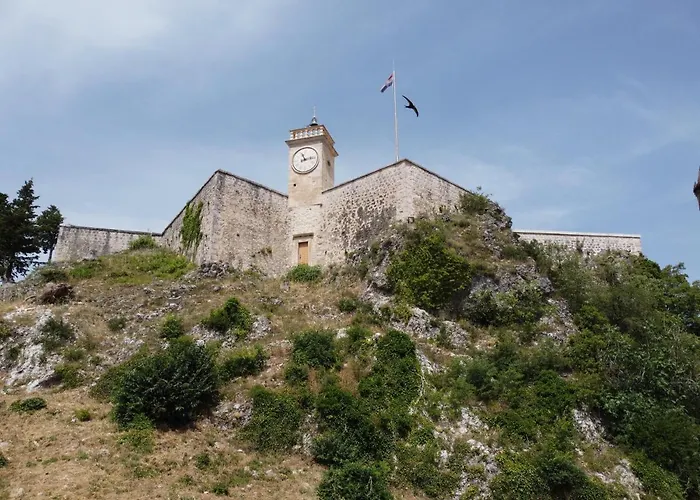 Palomino Sinj