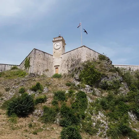 Palomino Sinj